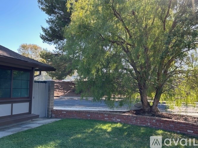 A tree in a yard with a house in the background.