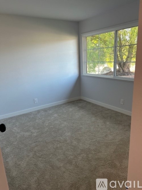 A room with a carpeted floor and a window showing trees outside.