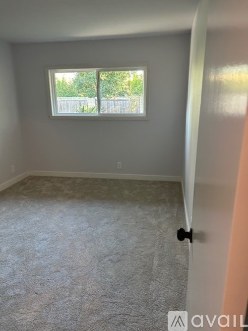 A room with a carpeted floor and a window.