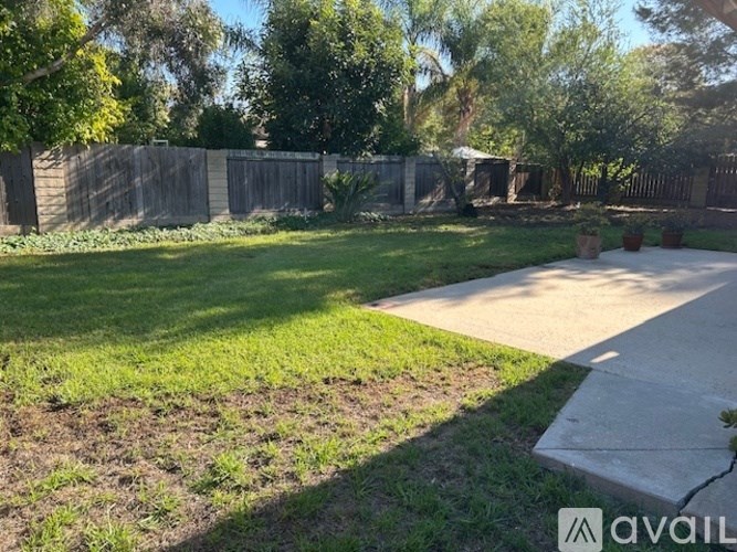 A backyard with a wooden fence and a concrete path.
