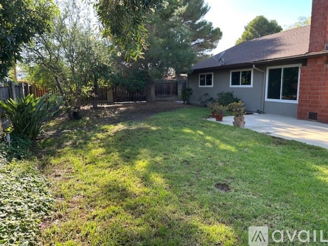 A backyard with a house, a fence, and a tree.