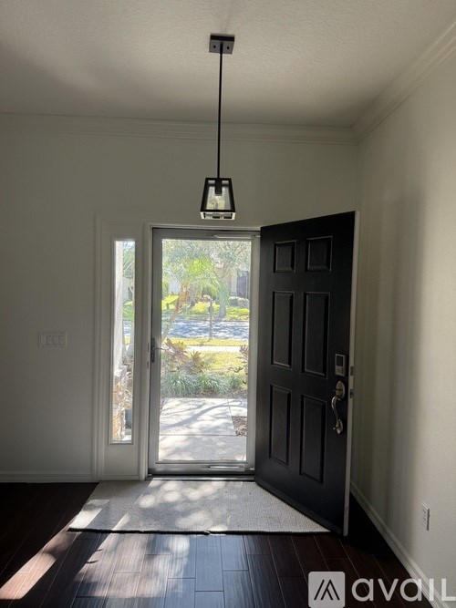 A black door is open to a sunny patio.