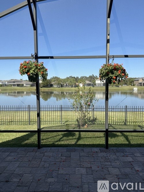 A view of a lake through a glass wall with two hanging flower pots.