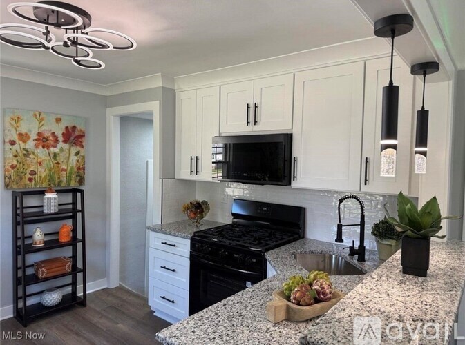 2907 Liggett Drive 4 Beds Single Family Home for Rent - Photo Gallery 27