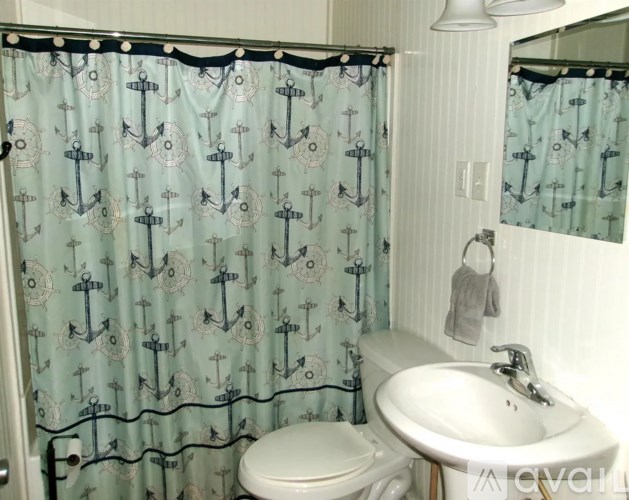 A bathroom with a sink, toilet and a shower curtain with anchors on it.
