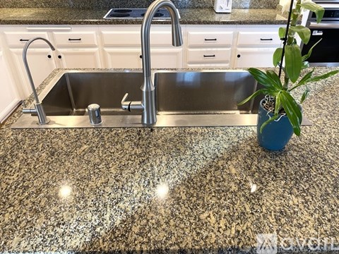 A kitchen sink with a plant on the counter.