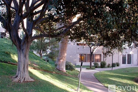 A tree with a thick trunk and a wide canopy shades a walkway.