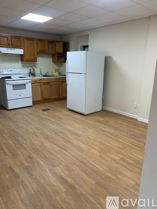 207 North 1st Street 2 Beds Apartment for Rent - Photo Gallery 3