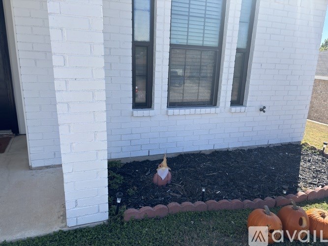 A white house with a black window and a cat sitting in the grass.