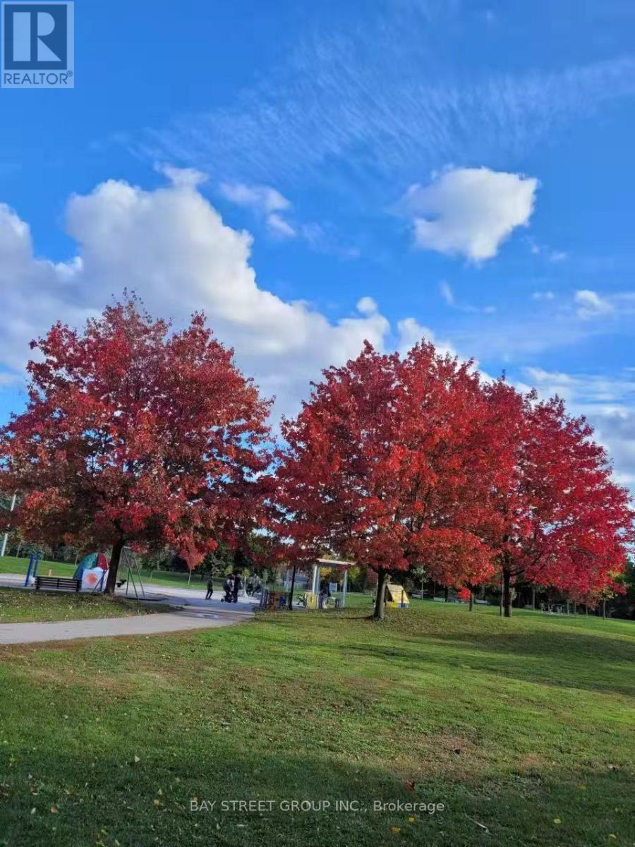 A brochure for Bay Street Group Inc. is displayed in a park with red trees and a blue sky.