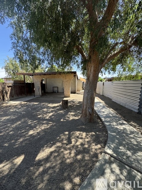 A tree in a backyard with a house in the background.