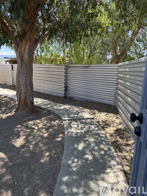 A tree is next to a bench with a metal fence.