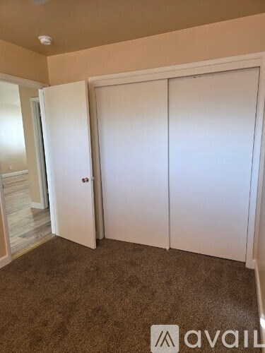 A room with a carpeted floor and a white closet with a door open.