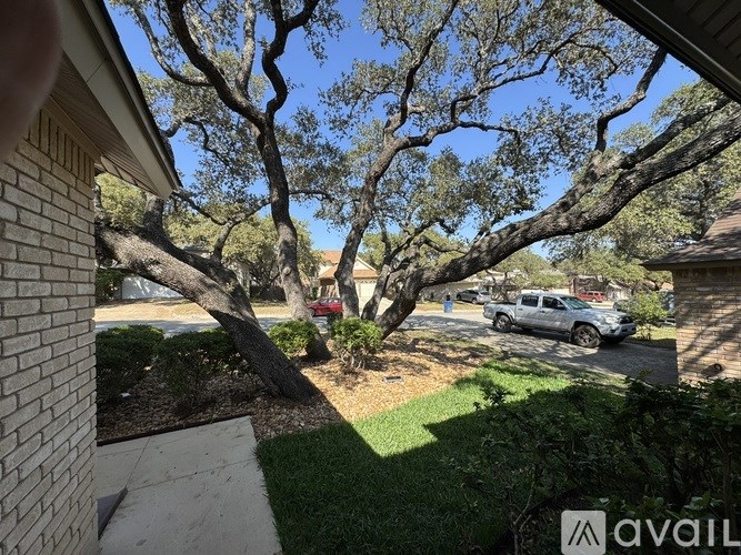 A tree in a yard with a car parked in the background.