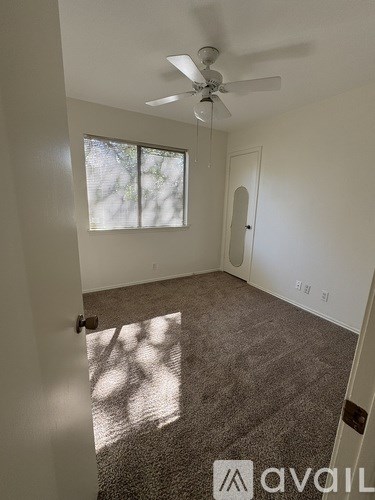 A room with a carpeted floor, a ceiling fan, and a window letting in natural light.