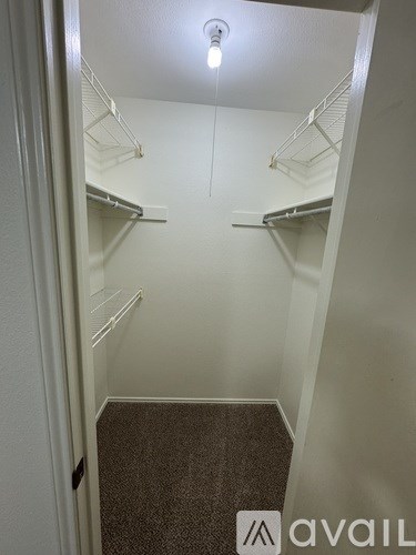 A small, empty walk-in closet with a carpeted floor and white walls.