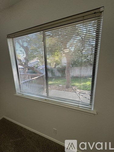 A window with white blinds showing a view of a backyard.