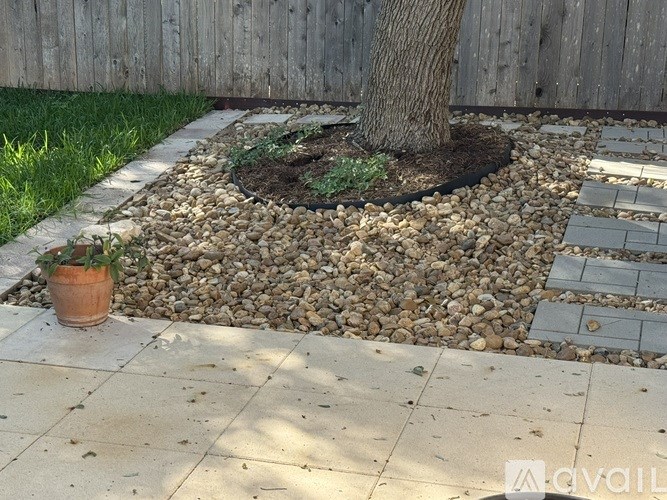 A tree in a garden bed with a potted plant to the left and a stone pathway.