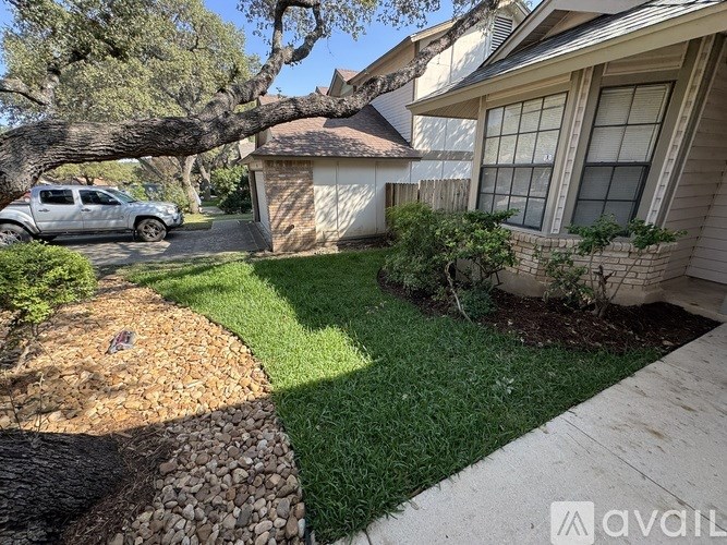 A house with a tree branch hanging over the yard.