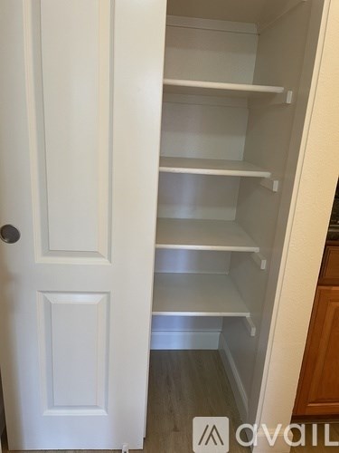A white door with a handle is open to a pantry with shelves.