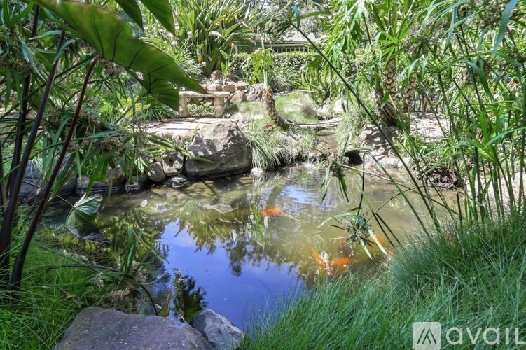 A pond with a few fish and some greenery.