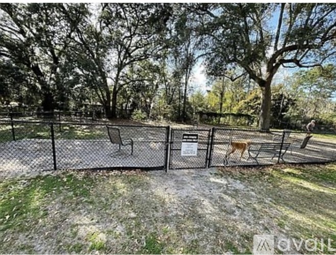 A dog is standing in a fenced area with trees in the background.