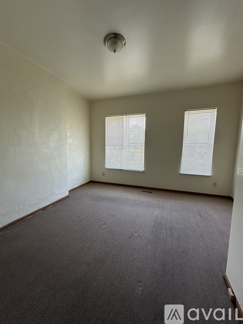 A room with two windows and a carpeted floor.