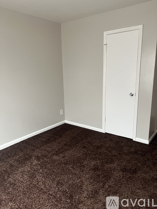 A room with a brown carpet and a white door.