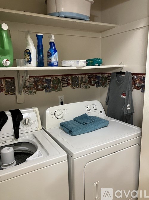 A laundry room with a washer and dryer, a shelf with cleaning supplies, and a hanging t-shirt.