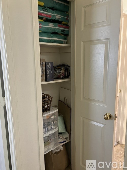 A white door is open to a small closet with storage boxes and containers.