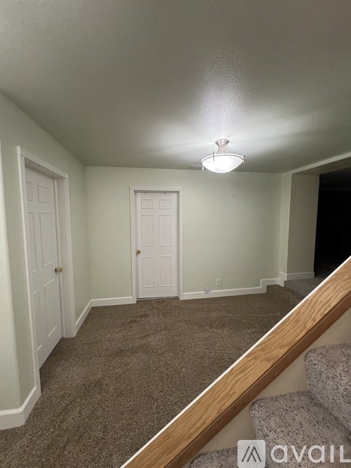 A room with a carpeted floor and a ceiling light.