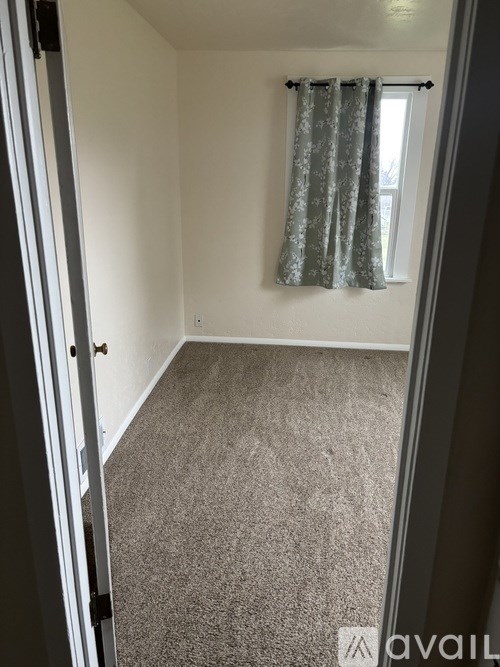 A carpeted room with a window and curtains.