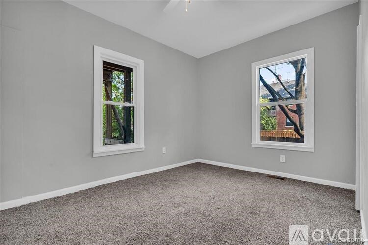 A room with two windows and a carpeted floor.
