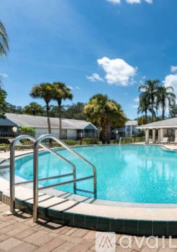 A pool with a ladder and palm trees in the background.