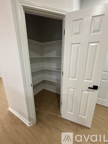 A white door with a black handle is open to a small pantry.