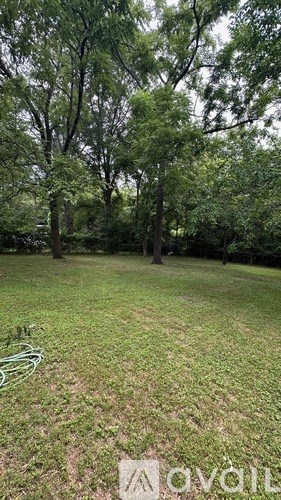 A grassy backyard with trees and a hose.