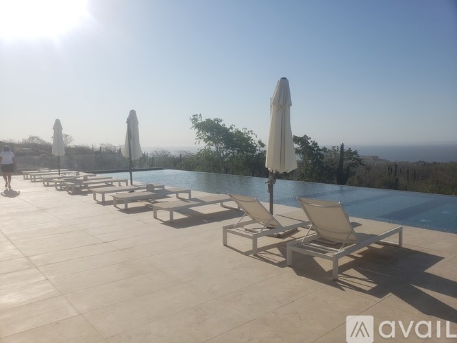 A sunny day at the pool with chairs and umbrellas.