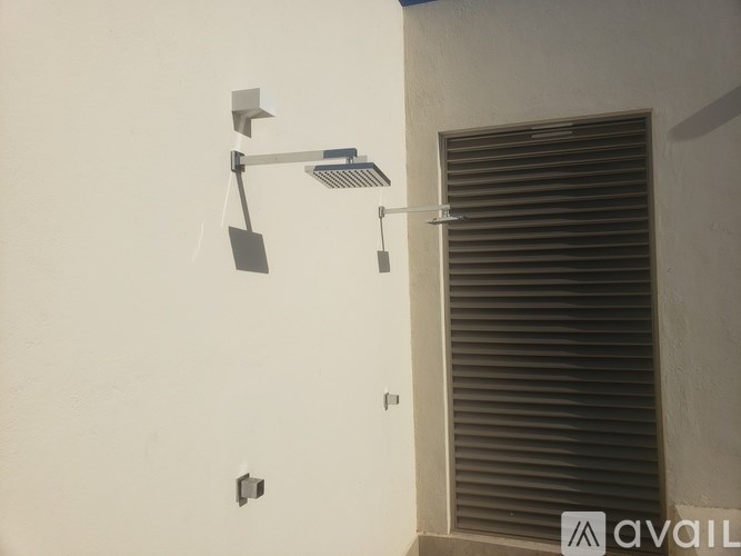 A shower head is mounted on a wall.