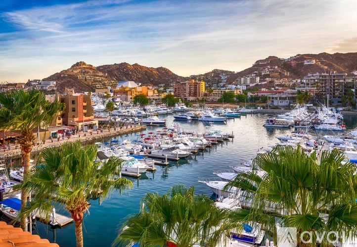A marina with boats docked and palm trees in the foreground.