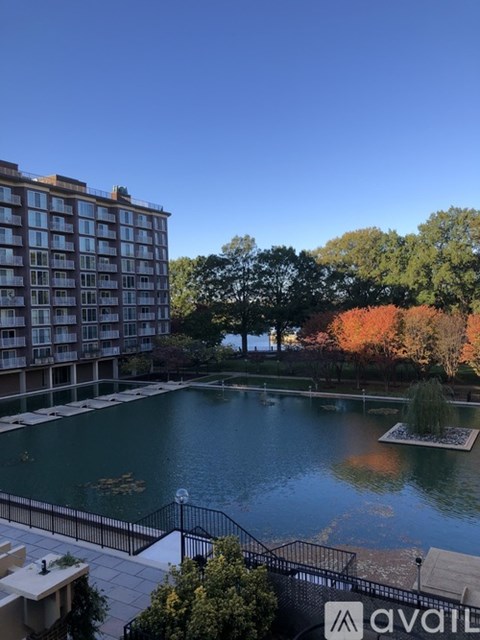 510 N Street SW 1 Bed Condo for Rent - Photo Gallery 2