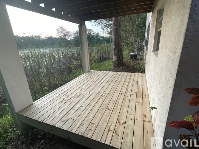A field of tall grass under a clear blue sky.