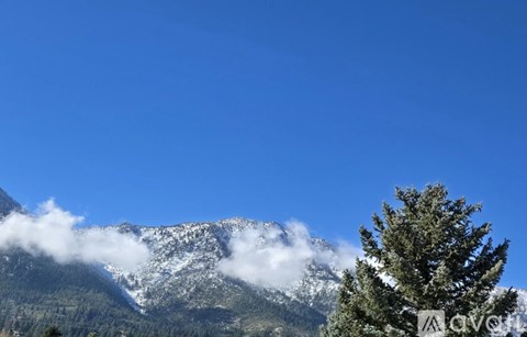 A tree stands in front of a mountain partially covered in snow.