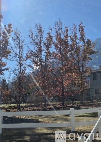 A white fence in front of a tree with red leaves.