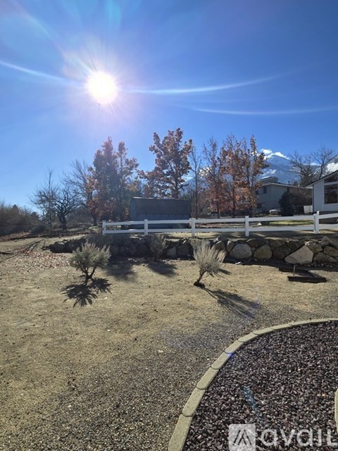 A sunny day in a yard with a white fence and a mountain in the distance.