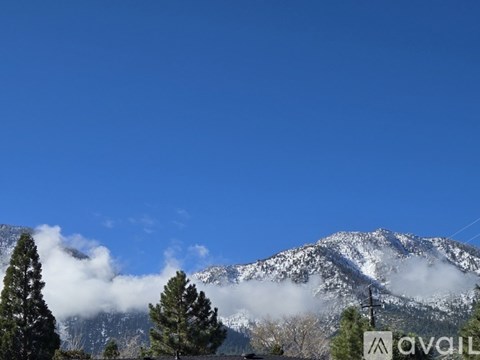 A mountain with snow on top and trees in the foreground.