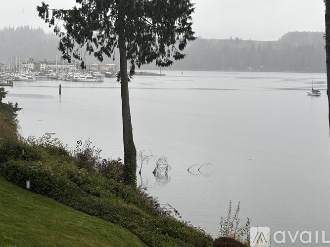 A tree stands in front of a body of water with boats in the distance.