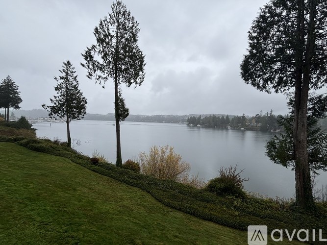 Three trees stand in front of a lake on a cloudy day.