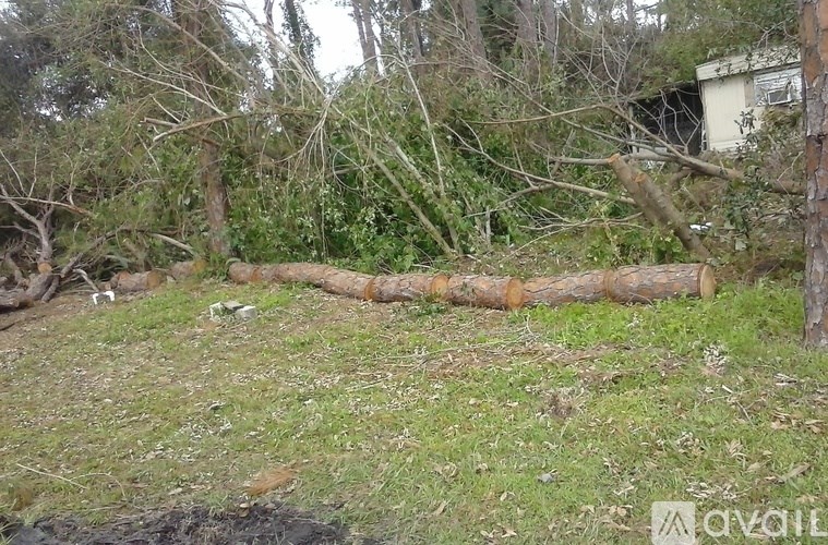 A fallen tree in a grassy area with a building in the background.