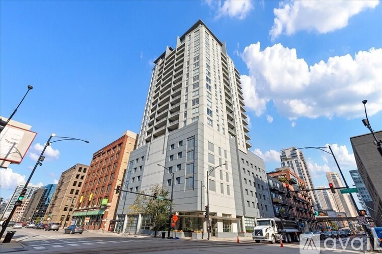 330 W Grand Ave 2 Beds Condo for Rent - Photo Gallery 10