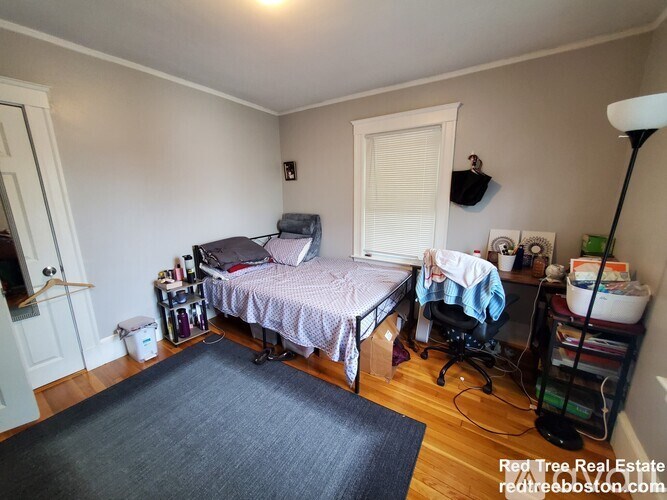 7 Elmira St 4 Beds Apartment for Rent - Photo Gallery 15